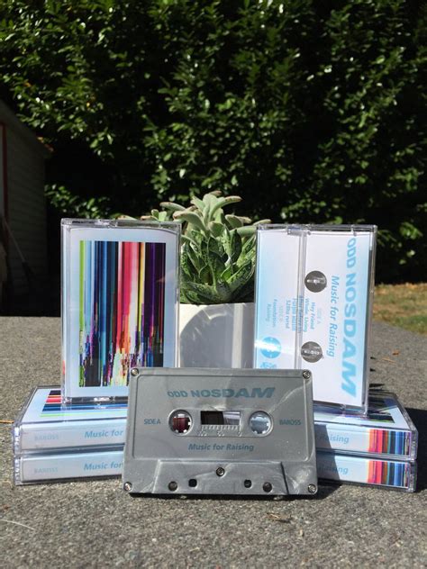 odd nosdam bandcamp|Music For Raising .
